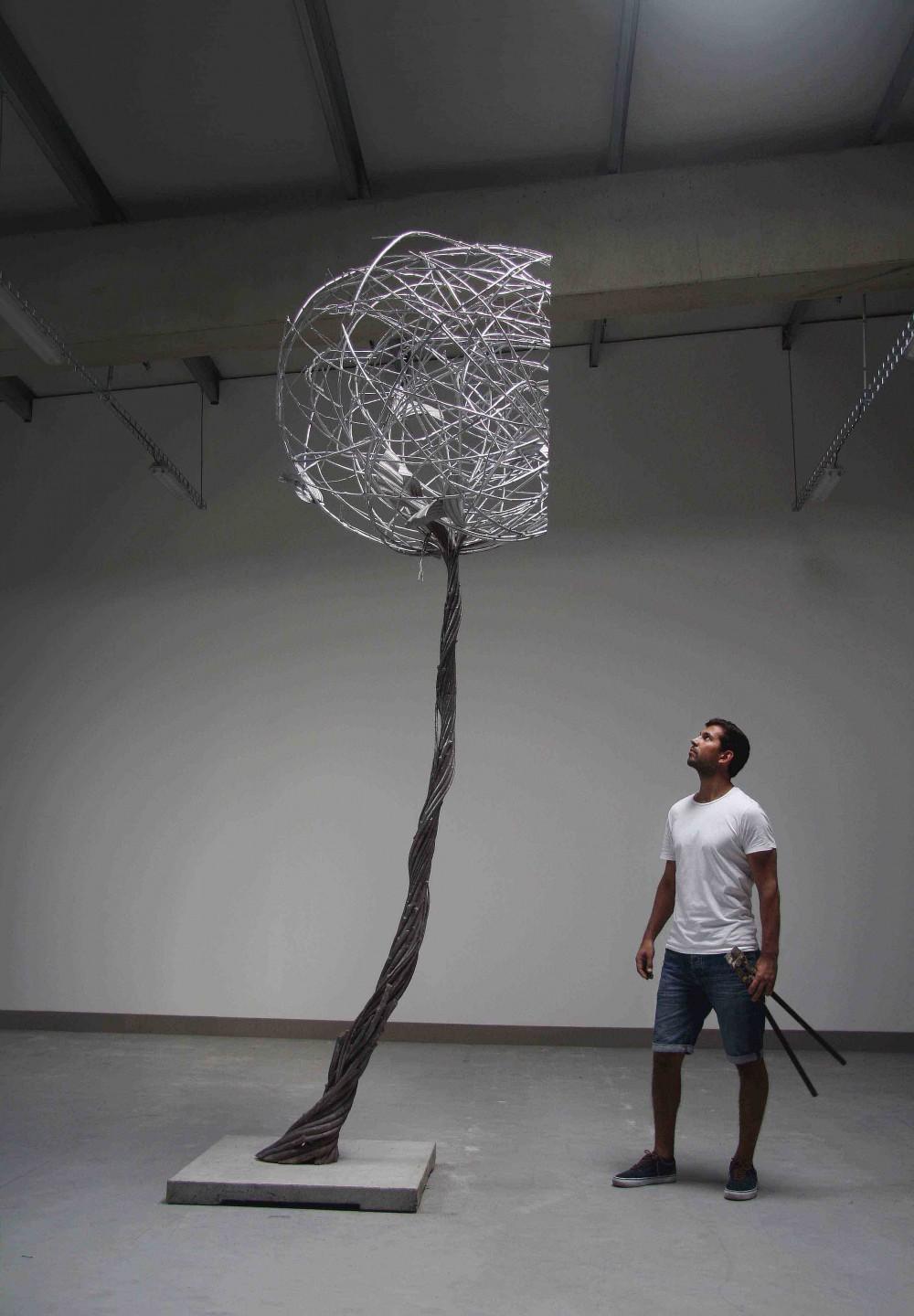 TREE IN THE BOX, fotografie 1 z 4