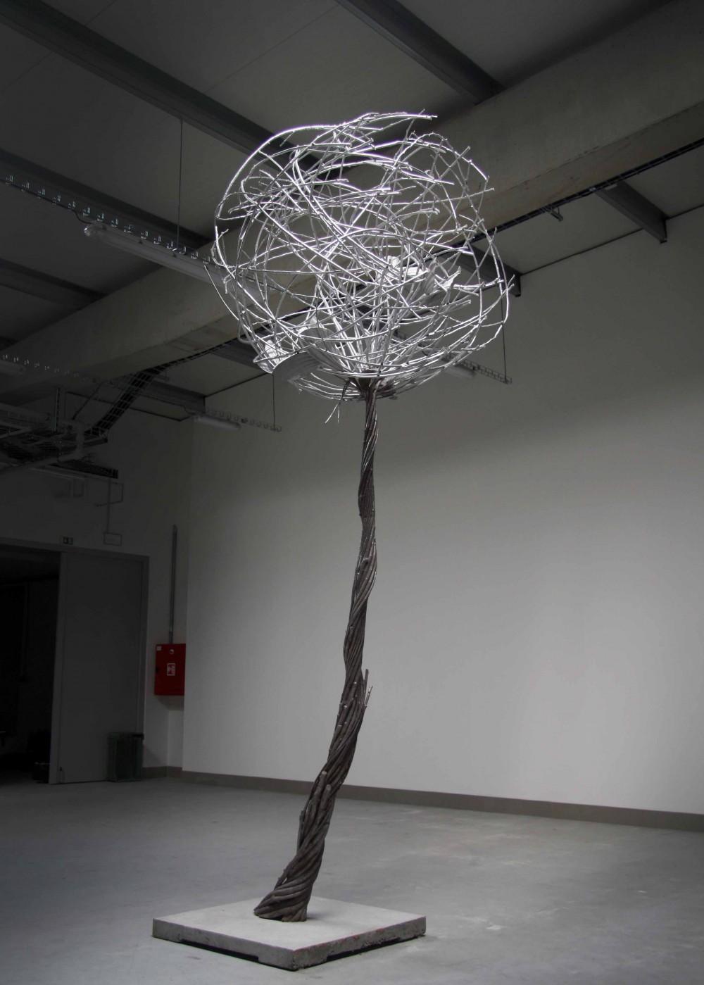 TREE IN THE BOX, fotografie 2 z 4