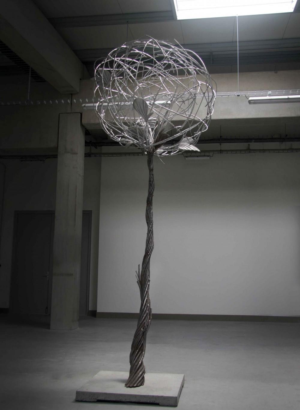 TREE IN THE BOX, fotografie 3 z 4