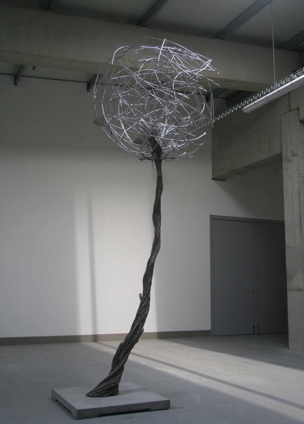 TREE IN THE BOX, fotografie 4 z 4