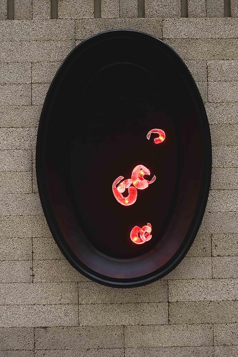 GOURMET II., fotografie 1 z 5